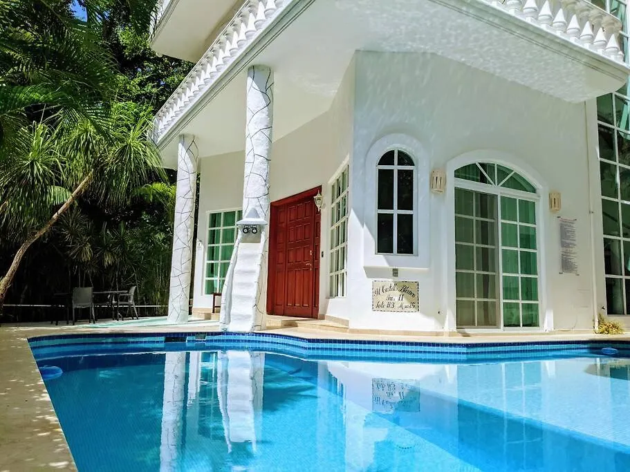 9Br 6Ba Large Groups! Best Location In Town Walk To Beach, 5Th Ave Cozumel Ferry, Shopping, Nightlife! Roof Plunge Pool!! Castillo Playacar Fase 1 25Max Playa del Carmen