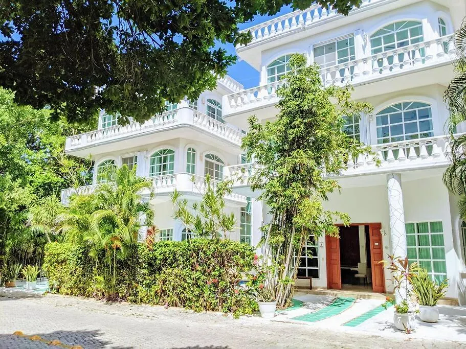 פלאייה דל כרמן 9Br 6Ba Large Groups! Best Location In Town Walk To Beach, 5Th Ave Cozumel Ferry, Shopping, Nightlife! Roof Plunge Pool!! Castillo Playacar Fase 1 25Max פלאייה דל כרמן