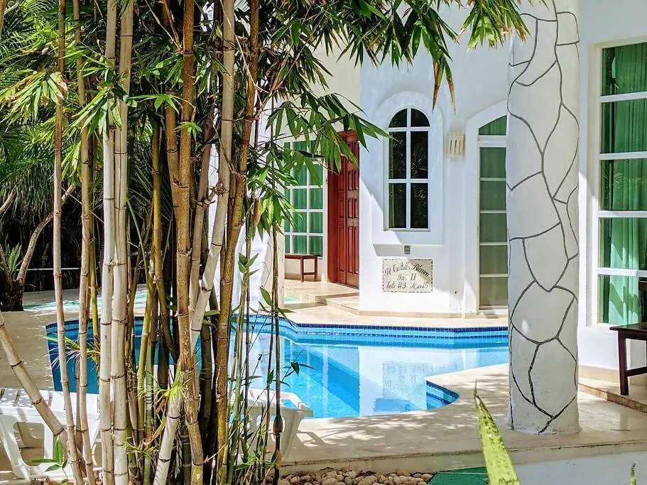 9Br 6Ba Large Groups! Best Location In Town Walk To Beach, 5Th Ave Cozumel Ferry, Shopping, Nightlife! Roof Plunge Pool!! Castillo Playacar Fase 1 25Max Playa del Carmen Feriehus