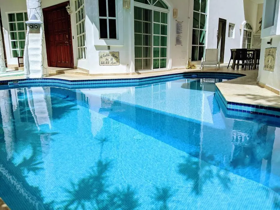 9Br 6Ba Large Groups! Best Location In Town Walk To Beach, 5Th Ave Cozumel Ferry, Shopping, Nightlife! Roof Plunge Pool!! Castillo Playacar Fase 1 25Max Playa del Carmen Mexico